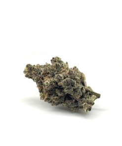 Lemon Cherry Gelato