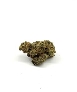 Exotic2