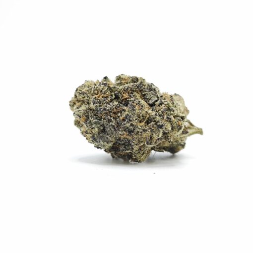 Blue Cookies