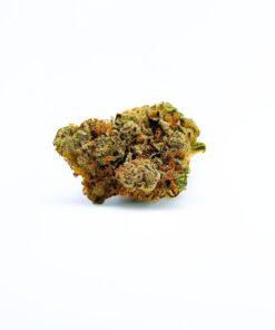 GMO Super Lemon