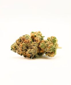 Tropicana Cherry Gelato