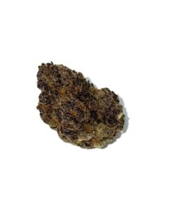 Gelato 33