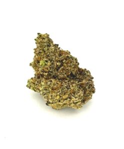 OG Tropicana